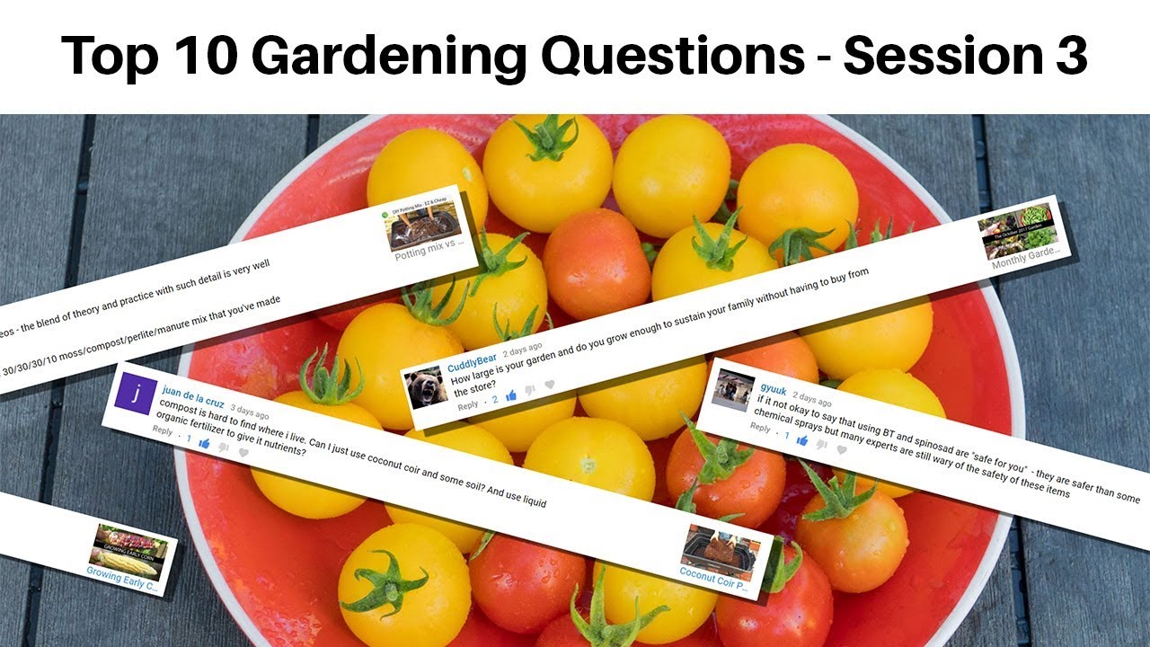 Top 10 Gardening Questions Answered! Garden Questions & Answers Session