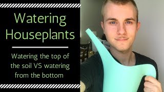 Watering Houseplants | Watering from the Top of the Soil VS the Bottom