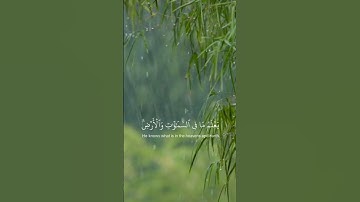 (تلاوة قصيره) من سورة العنكبوت. بصوت مريح للقارئ عبد الرحمن مسعد
