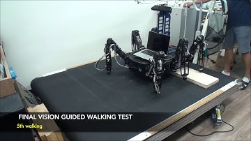 Vision-Guided Six-legged Walking of Little Crabster Using a Kinect Sensor