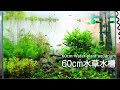 70以上 砂利 水草 205779-砂利 水草 植え方