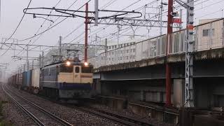2020/05/17　74レ　EF65 2081