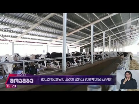 მესაქონლეობის ახალი ფერმა დედოფლისწყაროში