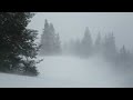 HOWLING BLIZZARD ❄️ ICY WINTER STORM FOR DEEP SLEEP | AMBIENCE