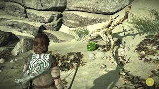 Shadow of the Colossus Basics - Shadow of the Colossus and ICO