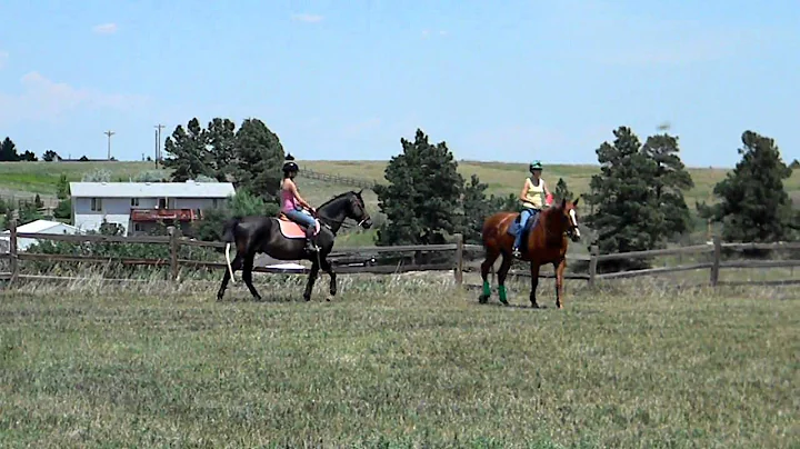 Darlene on Stuart