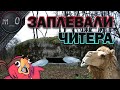 Заплевали читера / Не променял SLR / BEST PUBG