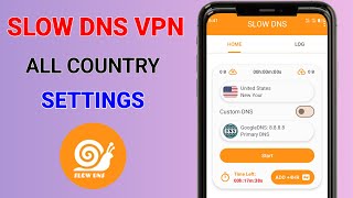 How to set up slow dns vpn with Google DNS settings for secure browsing  screenshot 1