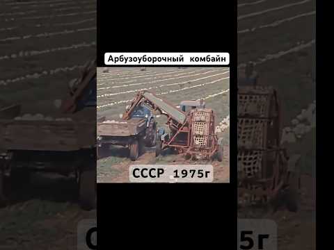 Арбузоуборочный комбайн . 1975г СССР #арбуз #уборка #комбайн #авто #ссср #шортс #shorts