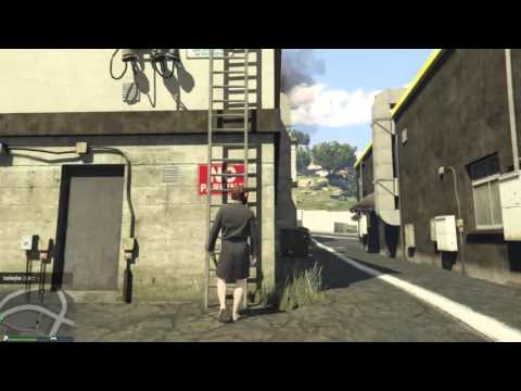 老布的GTA V : 最近警察的薪水大概又砍了