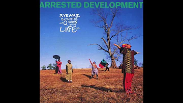 Arrested Development ‎– People Everyday - 3 Years, 5 Months And 2 Days In The Life Of