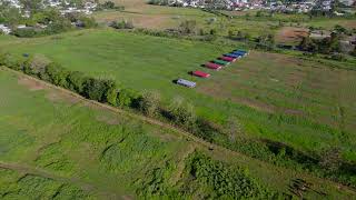 Marzo 2023 | Finca Pastoreo | Dorado, Puerto Rico