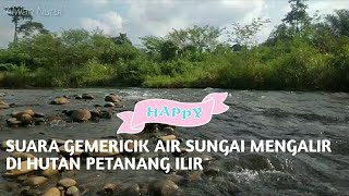 Suara Gemericik Air Sungai Mengalir Di Hutan Petanang Ilir@AlwanNurul