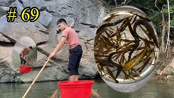 Săn cá chạch sông kỳ cùng lạng sơn