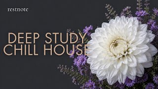 Deep Study｜Chill house｜Every Step Counts【3 Hours】