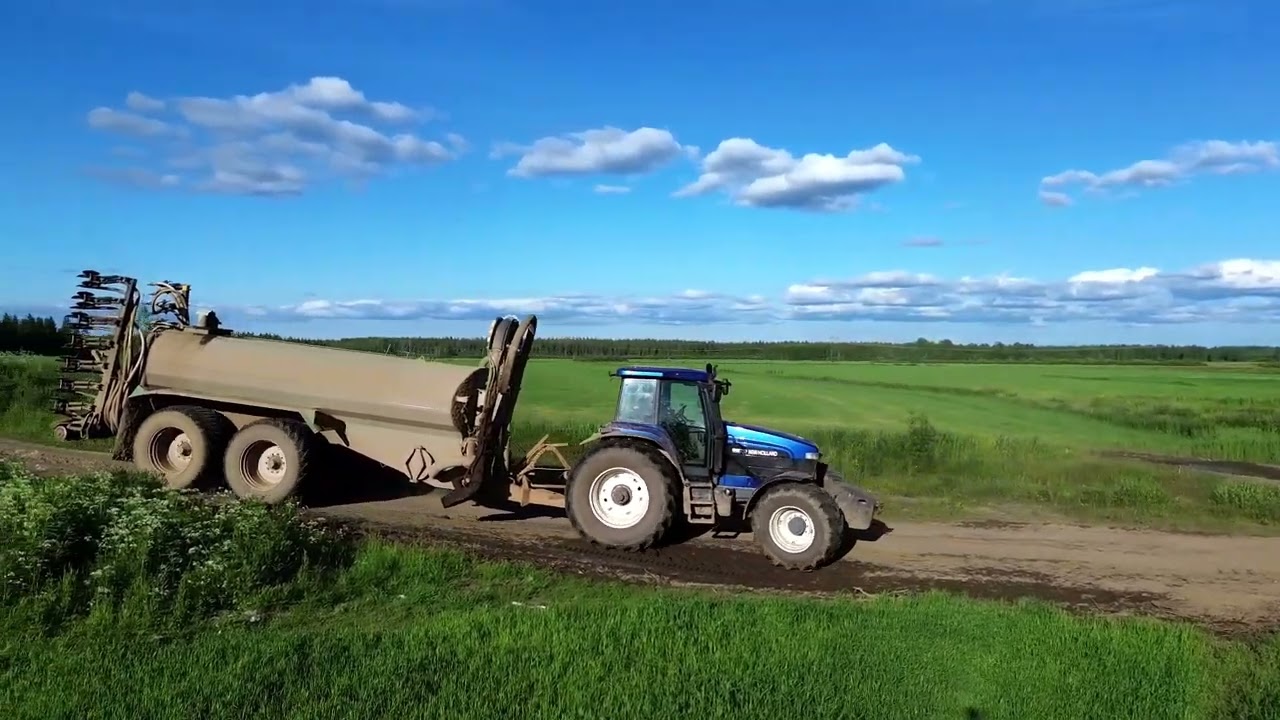 Rehutekojen välistä puuhastelua. 