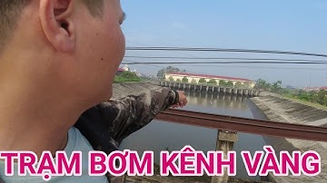 Điểm câu trạm bơm Kênh Vàng Lương Tài Bắc Ninh