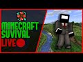 Minecraft Survival Live Stream