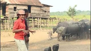 [FULL] RAGAM BUDAYA NUSANTARA | JEJAK PETUALANG (28/01/24)