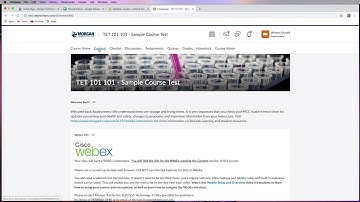 Overview of the D2L Interface