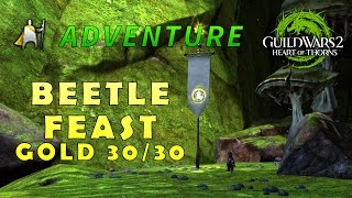 Beetle Feast 30/30 - Gold - Adventure - Guild Wars 2: Heart of thorns