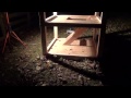 eminem building a 2 story doghouse for his dogs eminem building a 2 story doghouse for his dogs