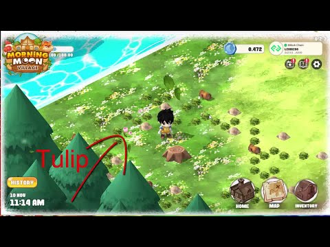 Morning Moon Village EP1 : Tulip (เจอดอกทิวลิป)