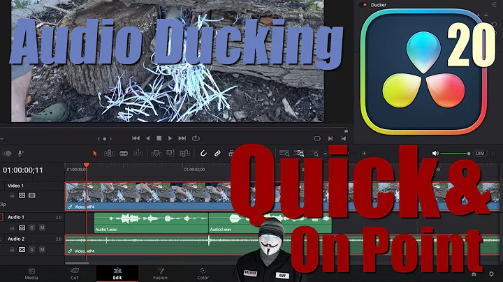 Audio Ducker DaVinci Resolve 20 How To Auto Level Background Music Lower Sounds Voice Over Ducking