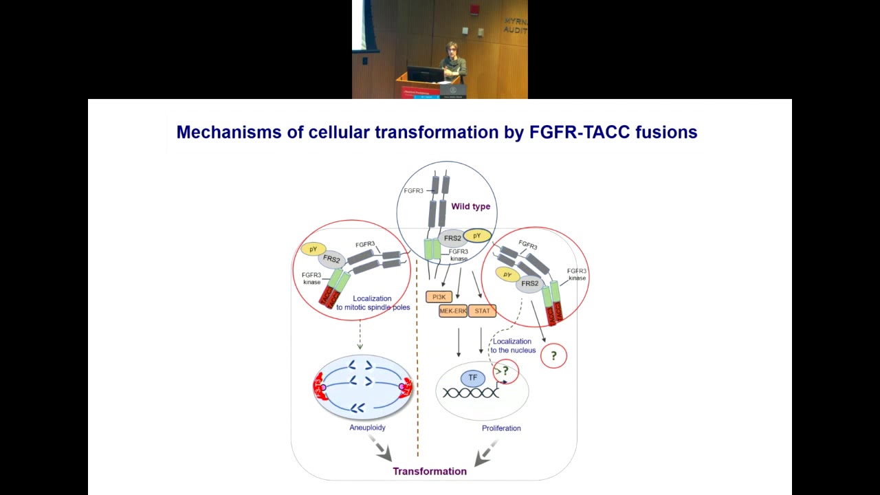 Identification of infrequent driver phenotypes in cancer - Anna Lassorella