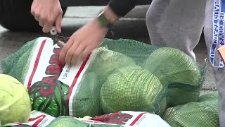 'We just need help,' Foodbank hosts major food distribution in Norfolk food desert