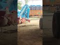 मक्का थ्रैशर POWER MAIZE THRESHER 🌾🌾#farming #agrifuture #multicropthresher #higlights