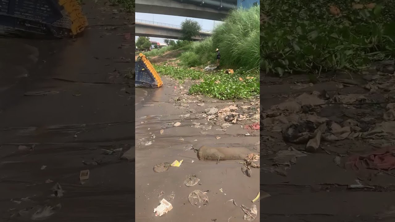 Before And After Cleanup