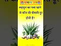 लहसुन पत्ता खाने से कौन सी बीमारी दूर होती है? GK Questions And Answer | GK facts #gkquestions #gk