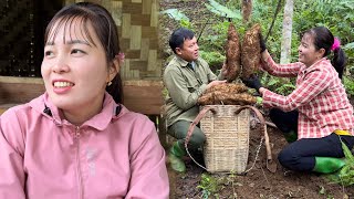 Harvest giant wild tubers to sell at the market - Cook nutritious and simple dishes