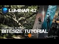 Copy a Mask in Luminar 4 2 (re-upload)