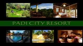 Paddy City Resort Prava Wedding Gallery