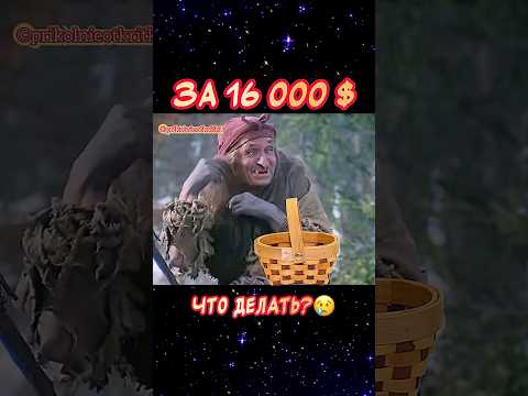 Что теперь делать?😢Весёлая открытка для отличного настроения🤣 #юмор #музыкальнаяоткрытка