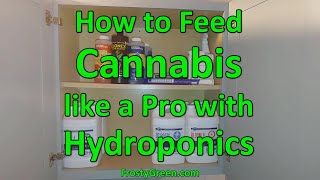 How to feed Cannabis like a Pro with Hydroponics