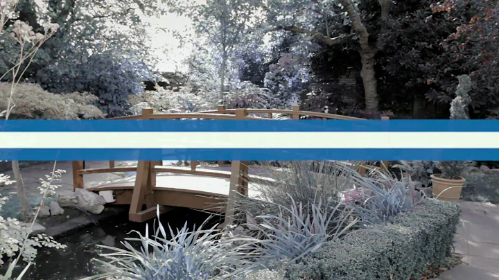 Xactium 2016 Annual User Conference