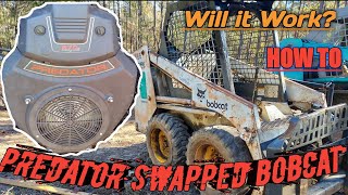 Predator Swapped Bobcat