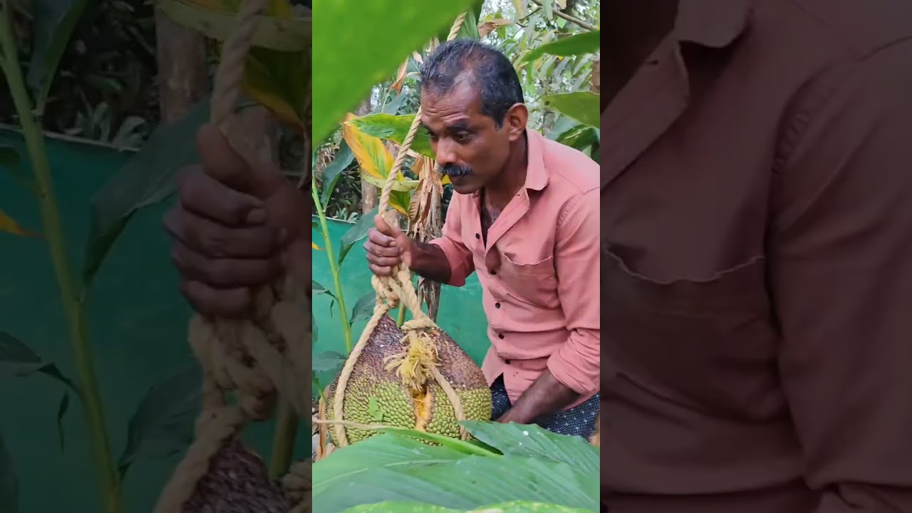 ഇടുക്കിക്കാർക്ക് ഈ സമയത്തിത് ലോട്ടറിയാണ്😋😋