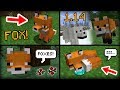NEW Foxes Added in Minecraft 1.14 Update