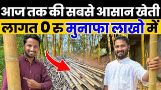 Bamboo Farming पर कर दी PHDकमाई देख कर हैरान रह जाओगेBamboo Business in India | Indian Farmer