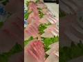 ヒラマサお造り#short #shorts #new #fish #japan #howto #おすすめ #簡単 #料理 #釣り #楽しい #美味しい