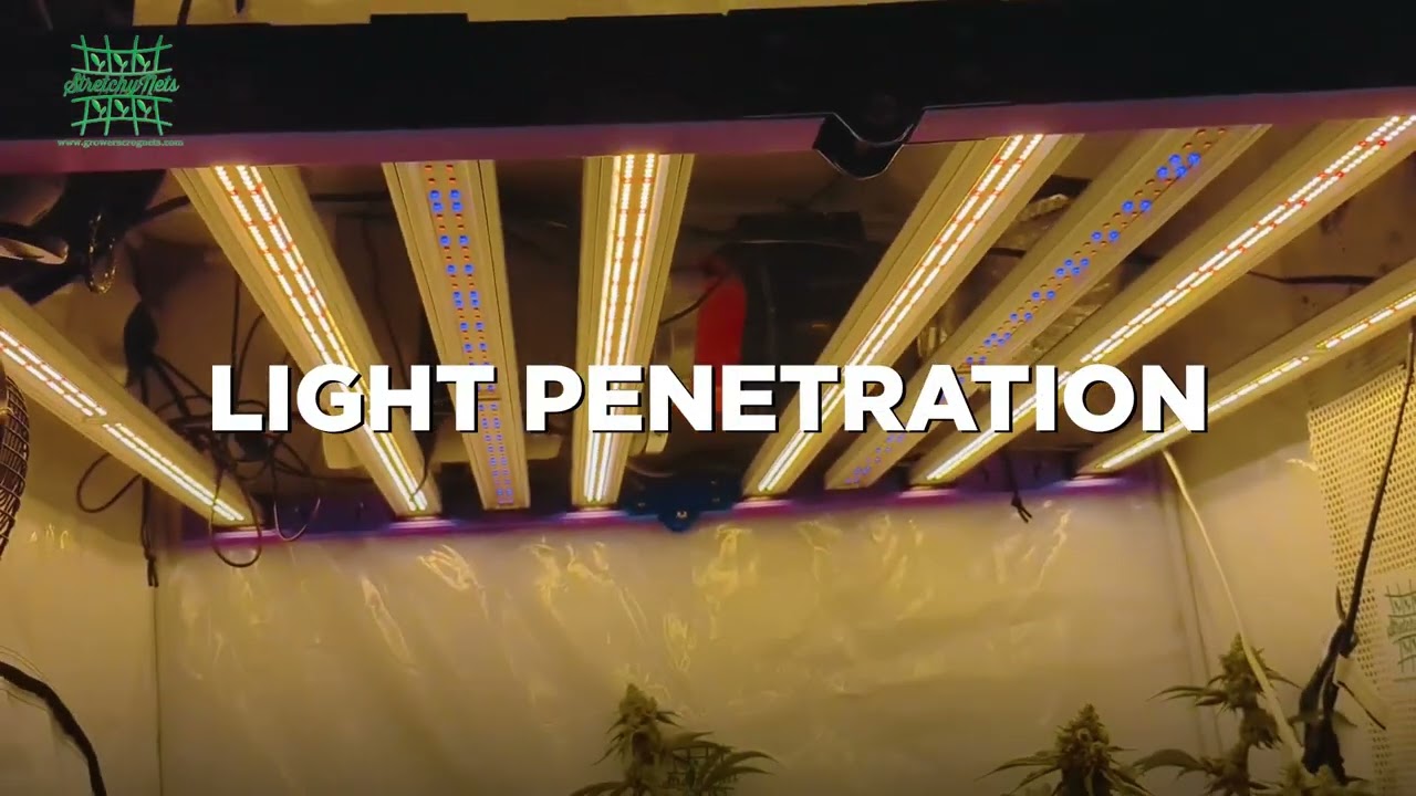 Grow tent stretchable trellis nets