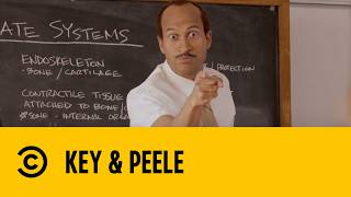 The Iconic Substitute Teacher Sketch | Key & Peele