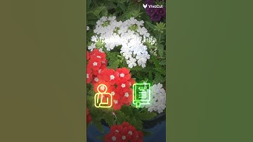 اكتب شيء تؤجر عليه قران كريم راحه نفسيه اترك اثرلك