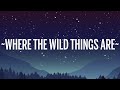 Luke Combs - Where the Wild Things Are (Lyrics)