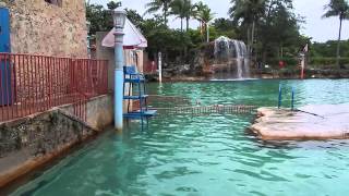 Venetian Pool - Coral Gables, Florida