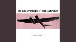 Miniatura de vídeo de "The Teardrop Explodes - You Disappear From View (BBC Session Peel Plus 1982)"